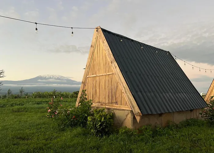 Camp David-Amboseli