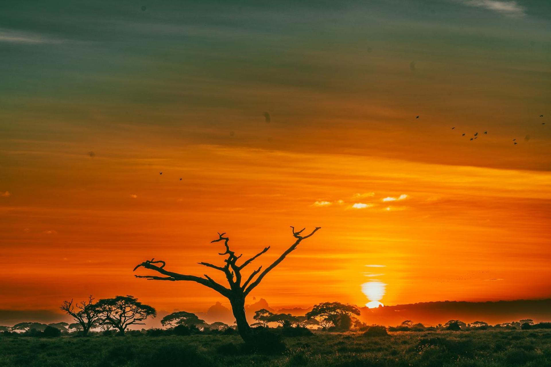 Campingplatz Camp David-amboseli Oloitokitok