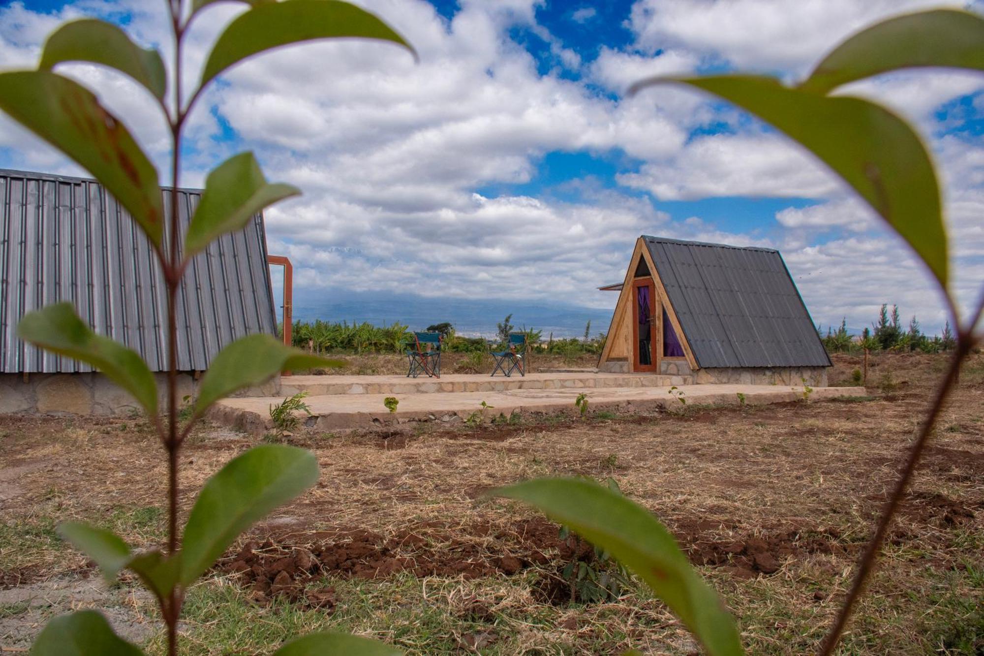 Camp David-amboseli *