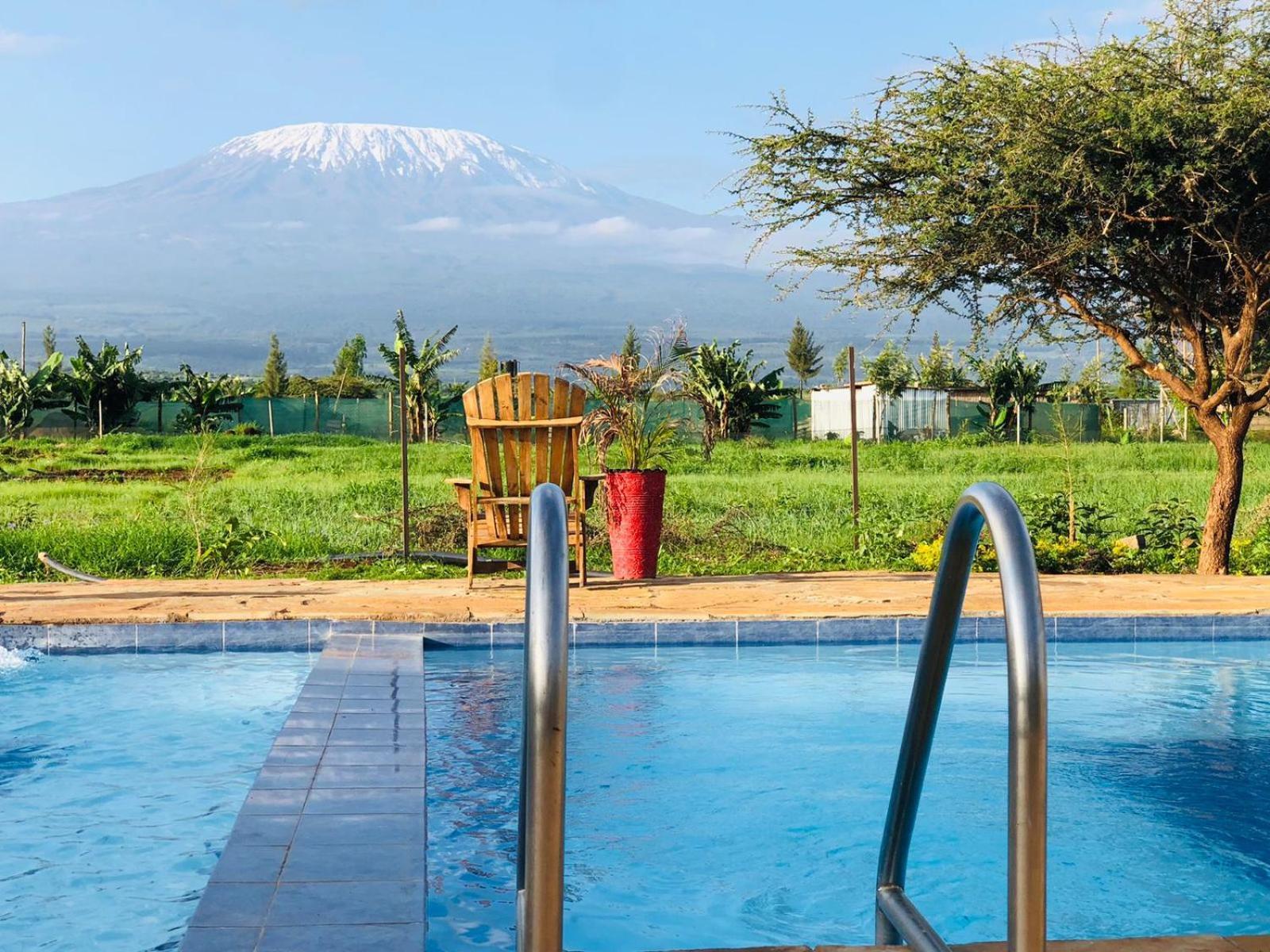 Camp David-amboseli