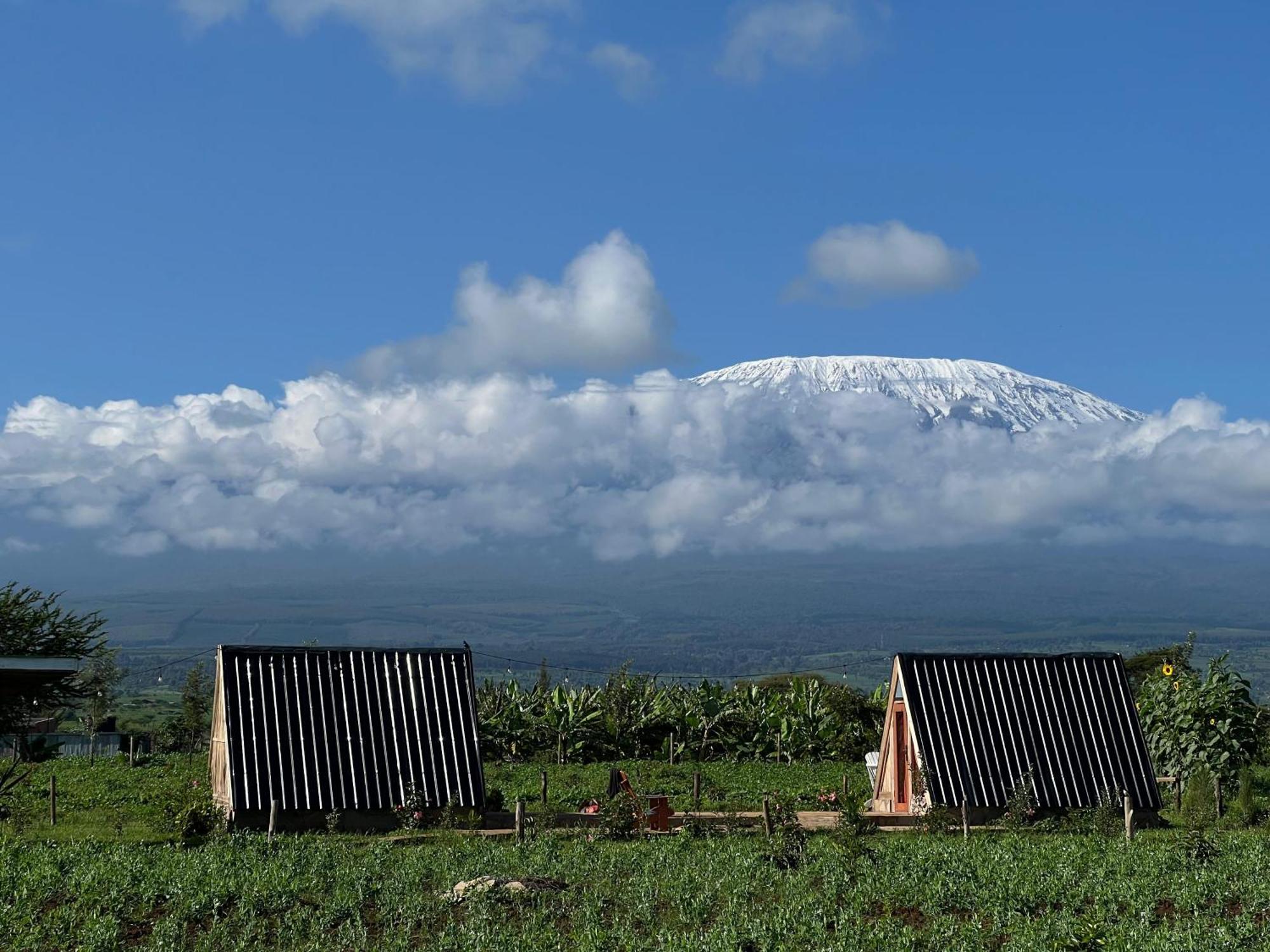 Camp David-amboseli