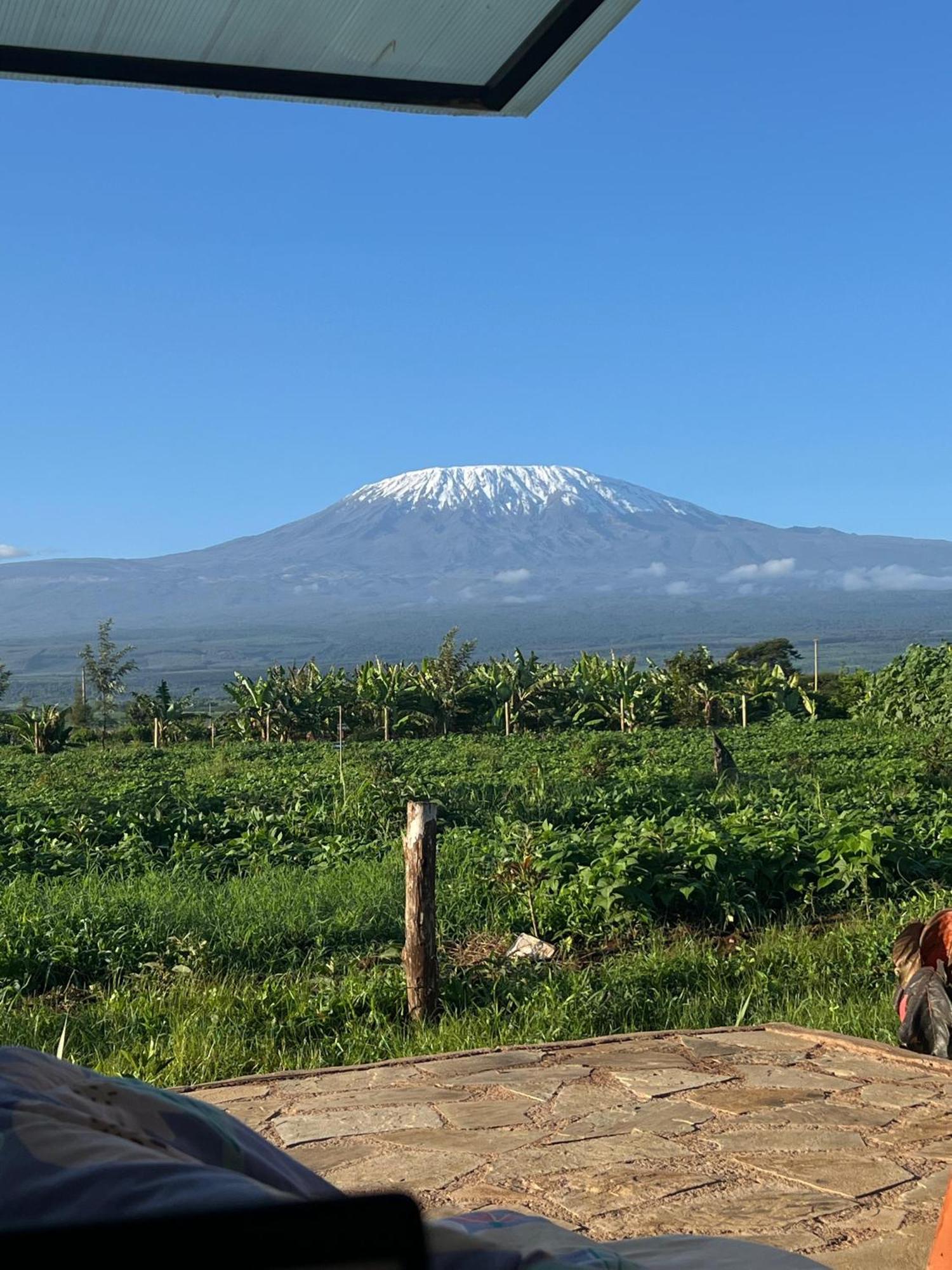 Camp David-amboseli *