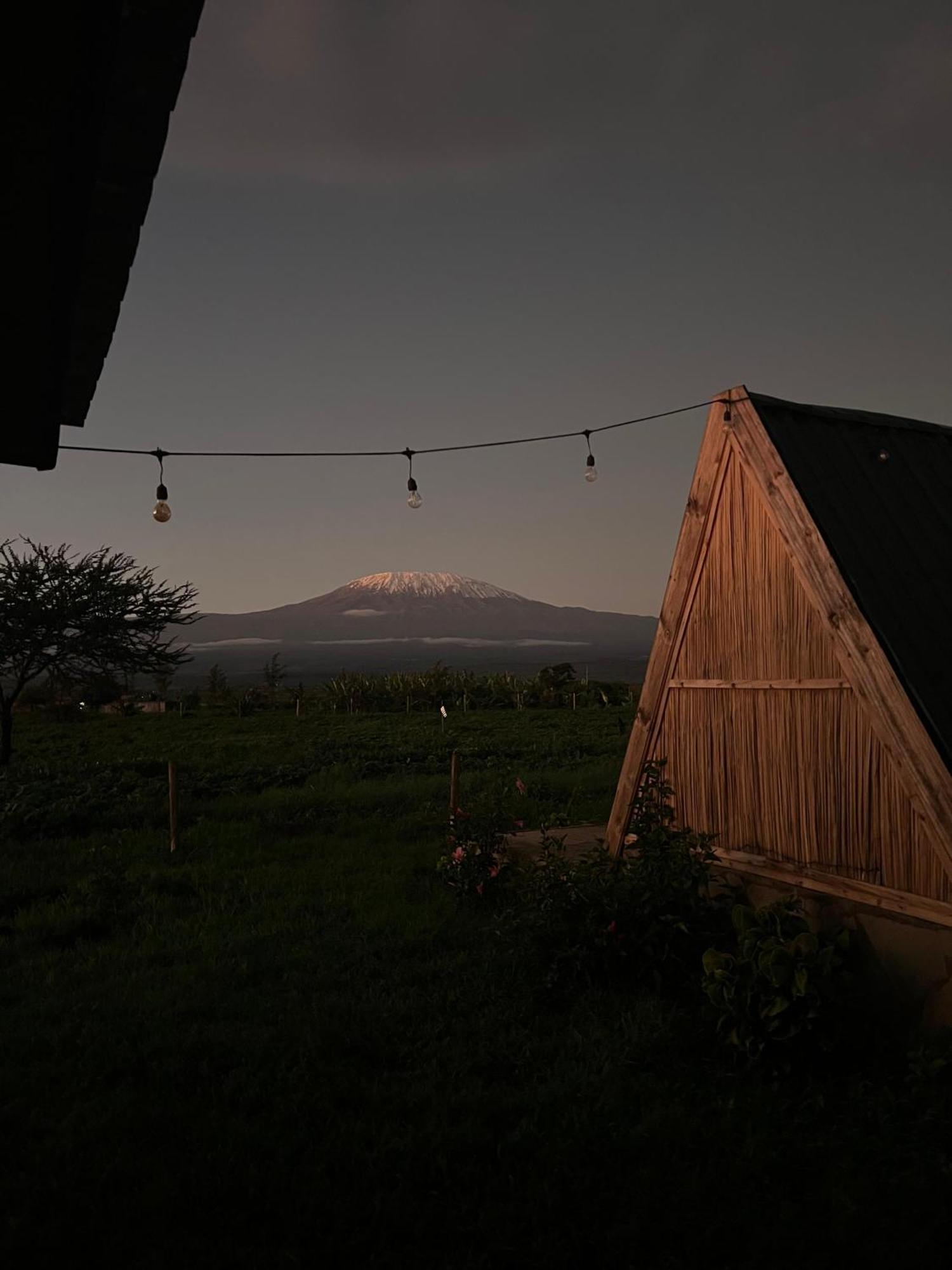 Camp David-amboseli Campingplatz